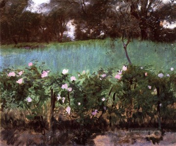  rose - Landschaft mit Rose Trellis John Singer Sargent